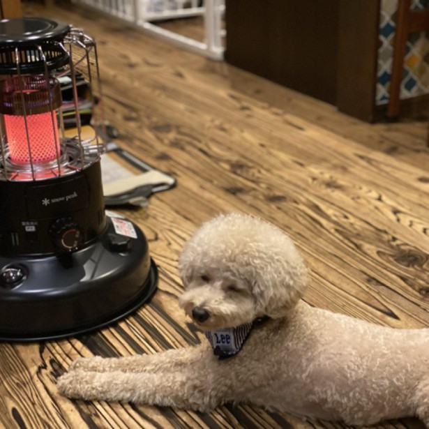 【完全予約制】『Outdoor styleの家』 完成見学会 in 平内