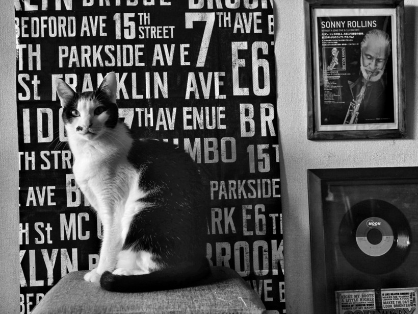 【完全予約制】『Brooklyn styleの家』 完成見学会 in 仙台