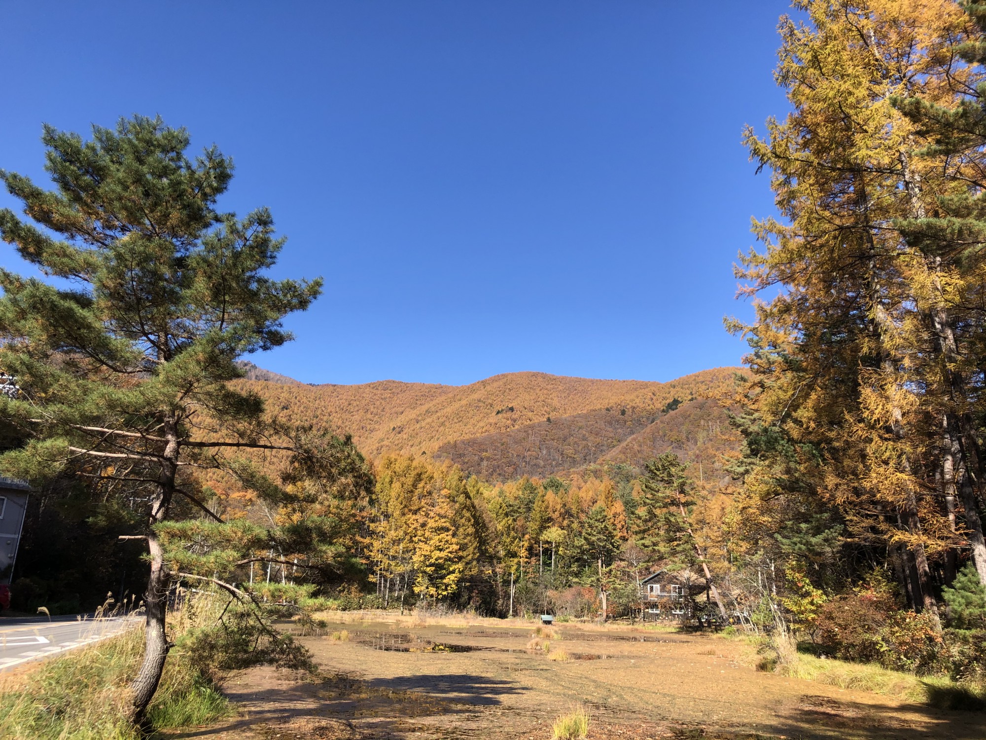 紅葉 ハウスザガーデン 名古屋市 東海市 大府市 知多市で自然素材のおしゃれな注文住宅