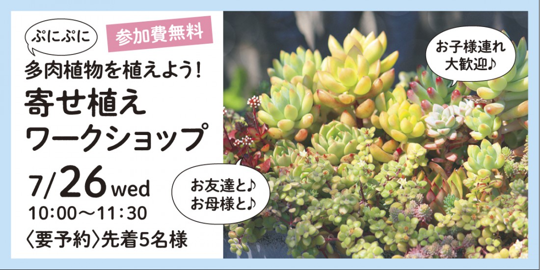 【体験イベント】7/26　ぷにぷに多肉植物の寄せ植えをつくろう！