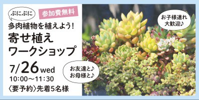 【体験イベント】7/26　ぷにぷに多肉植物の寄せ植えをつくろう！