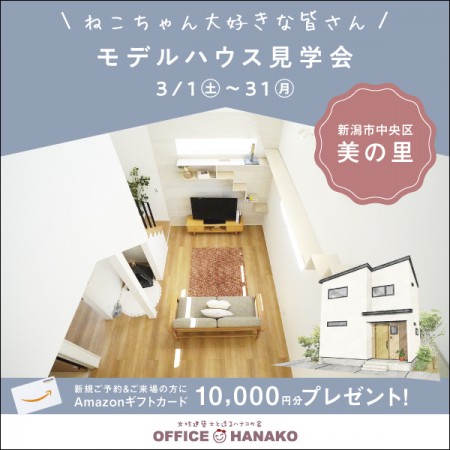 ＼ネコちゃん大好きな皆さん／3/1～31新潟市中央区美の里モデルハウス見学会