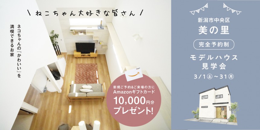＼ネコちゃん大好きな皆さん／3/1～31新潟市中央区美の里モデルハウス見学会